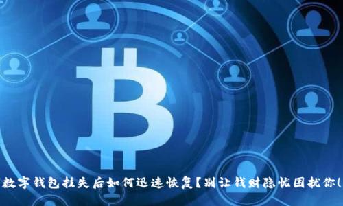 数字钱包挂失后如何迅速恢复?别让钱财隐忧困扰你!