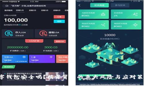 数字钱包安全吗?揭露背后的五大风险与应对策略!