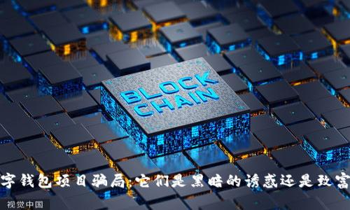 警惕！数字钱包项目骗局：它们是黑暗的诱惑还是致富的捷径？
