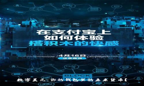 数字美元：你的钱包里的未来货币？