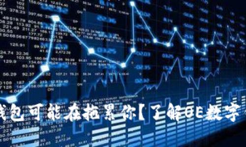 为什么你的数字钱包可能在拖累你？了解OE数字钱包的优势与挑战