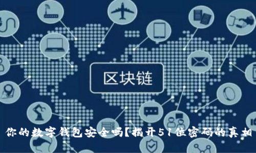 你的数字钱包安全吗？揭开51位密码的真相