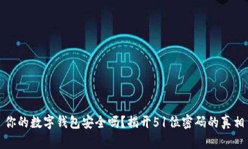 你的数字钱包安全吗？揭开51位密码的真相