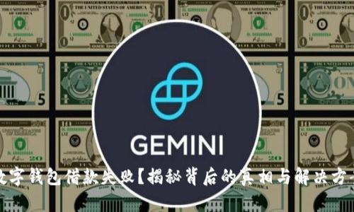 数字钱包借款失败？揭秘背后的真相与解决方案