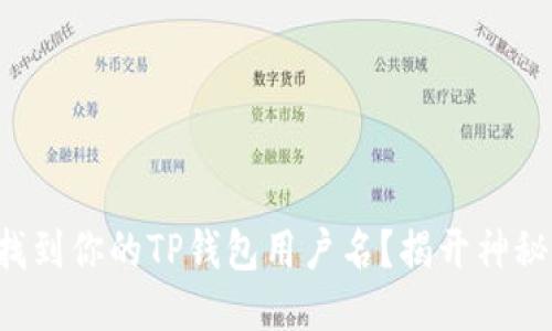 如何找到你的TP钱包用户名？揭开神秘面纱！