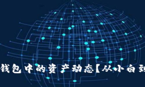 如何透视你在TP钱包中的资产动态？从小白到高手的全面指南