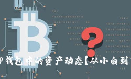 如何透视你在TP钱包中的资产动态？从小白到高手的全面指南