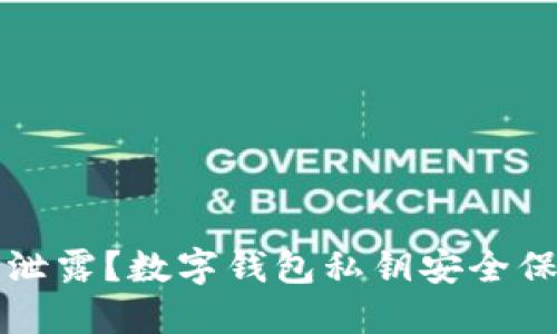 私钥遗失还是泄露？数字钱包私钥安全保管的致命挑战