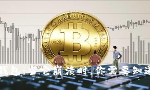 重装TP钱包：当它崩溃时，你需要知道的秘密