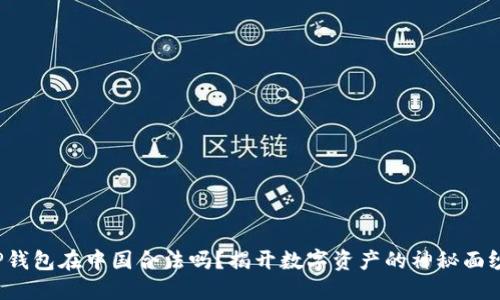  TP钱包在中国合法吗？揭开数字资产的神秘面纱！ 