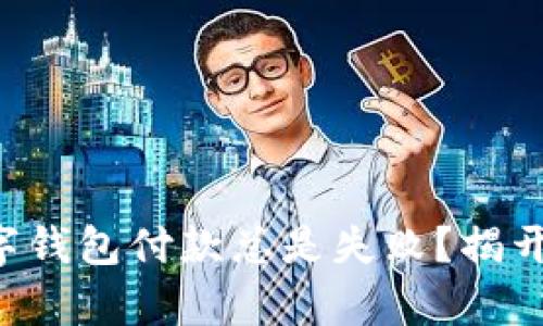 为何你的数字钱包付款总是失败?揭开背后的真相!