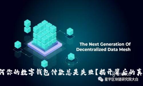 为何你的数字钱包付款总是失败?揭开背后的真相!