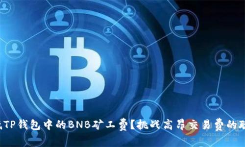 如何降低TP钱包中的BNB矿工费？挑战高昂交易费的聪明方法！