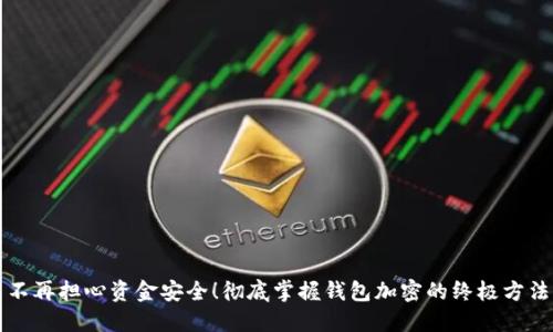 不再担心资金安全!彻底掌握钱包加密的终极方法