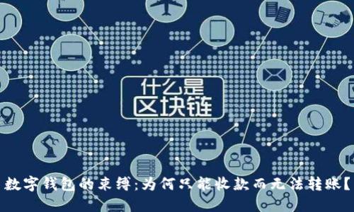 数字钱包的束缚：为何只能收款而无法转账？