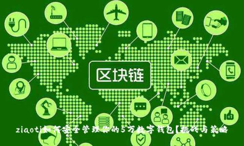 ziaoti如何安全管理你的5万数字钱包?挑战与策略