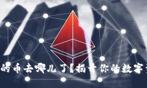TP钱包里的币去哪儿了？揭开你的数字资产之谜！