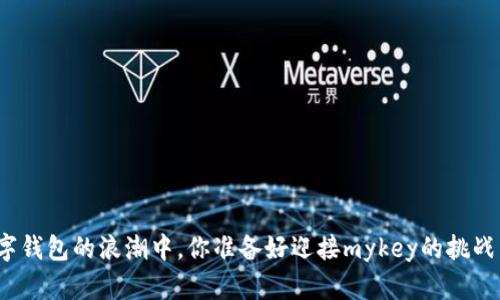 在数字钱包的浪潮中，你准备好迎接mykey的挑战了吗？