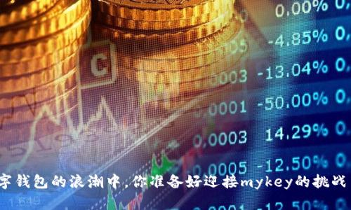 在数字钱包的浪潮中，你准备好迎接mykey的挑战了吗？