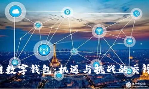 区块链数字钱包：机遇与挑战的交锋之旅！