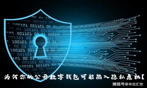 为何你的公开数字钱包可能陷入隐私危机?
