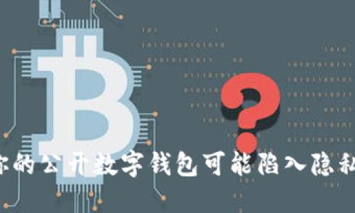 为何你的公开数字钱包可能陷入隐私危机?