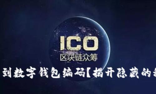 找不到数字钱包编码?揭开隐藏的秘密!