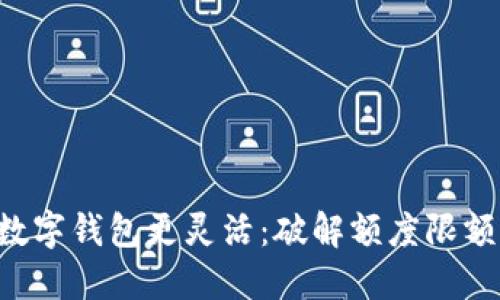让你的数字钱包更灵活:破解额度限额的秘密!