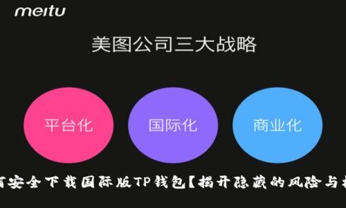 如何安全下载国际版TP钱包?揭开隐藏的风险与机会