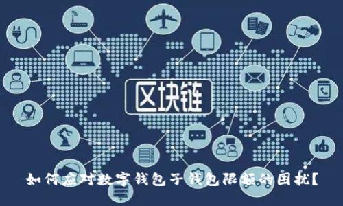 如何应对数字钱包子钱包限额的困扰?
