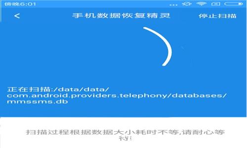 打破传统,解锁Plus Toke数字钱包的潜力!
