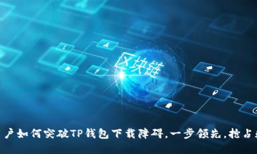 briaoti苹果用户如何突破TP钱包下载障碍,一步领先,抢占数字资产潮流!