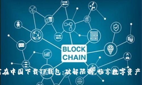 如何在中国下载TP钱包:破解限制,畅享数字资产管理