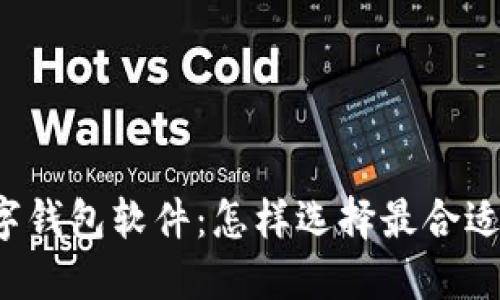 区块链数字钱包软件:怎样选择最合适的那一款?