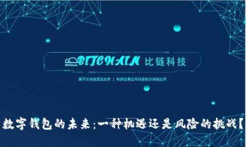 数字钱包的未来:一种机遇还是风险的挑战?