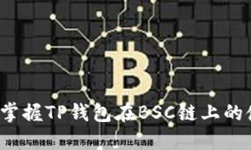 如何很快掌握TP钱包在BSC链上的使用技巧?