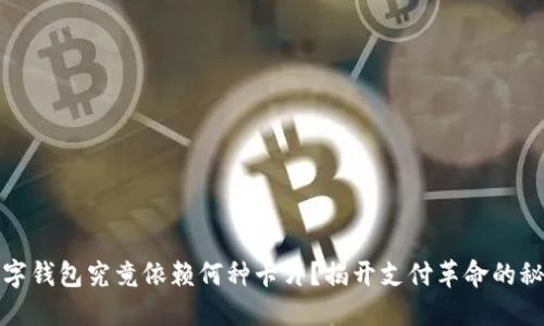 数字钱包究竟依赖何种卡片?揭开支付革命的秘密