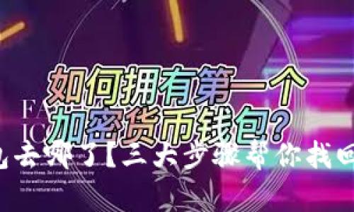 你的TP钱包去哪了?三大步骤帮你找回丢失资产!