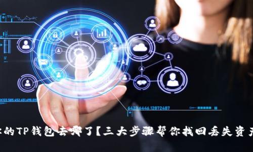 你的TP钱包去哪了?三大步骤帮你找回丢失资产!