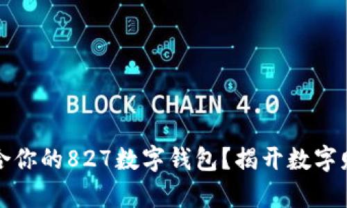 如何选择最适合你的827数字钱包?揭开数字财富管理的秘密