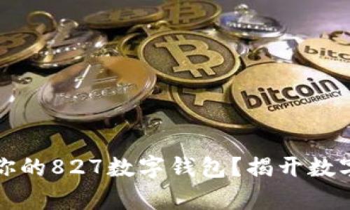 如何选择最适合你的827数字钱包?揭开数字财富管理的秘密