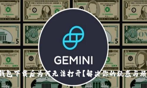 TP钱包下载后为何无法打开?解决你的疑惑与烦恼!